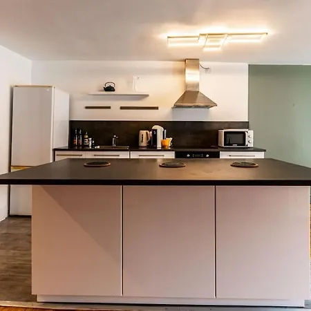 Le Liberte Coeur De Duplex Apartment Dijon